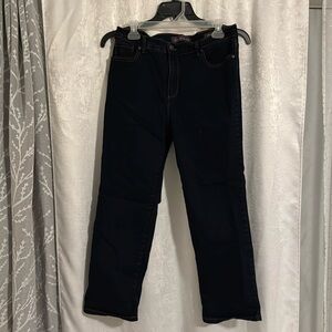 Gloria Vanderbilt Amanda Stretch Fabric Womens jeans